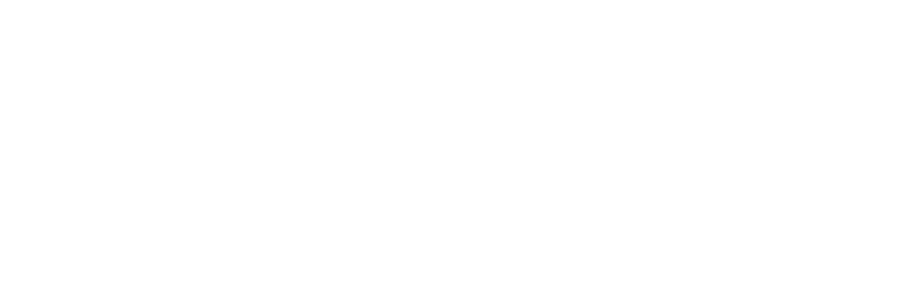 The Burnes Center for Social Change
